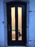 IMG_2466